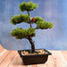 4938 Artificial Potted Plant with Square Pot 