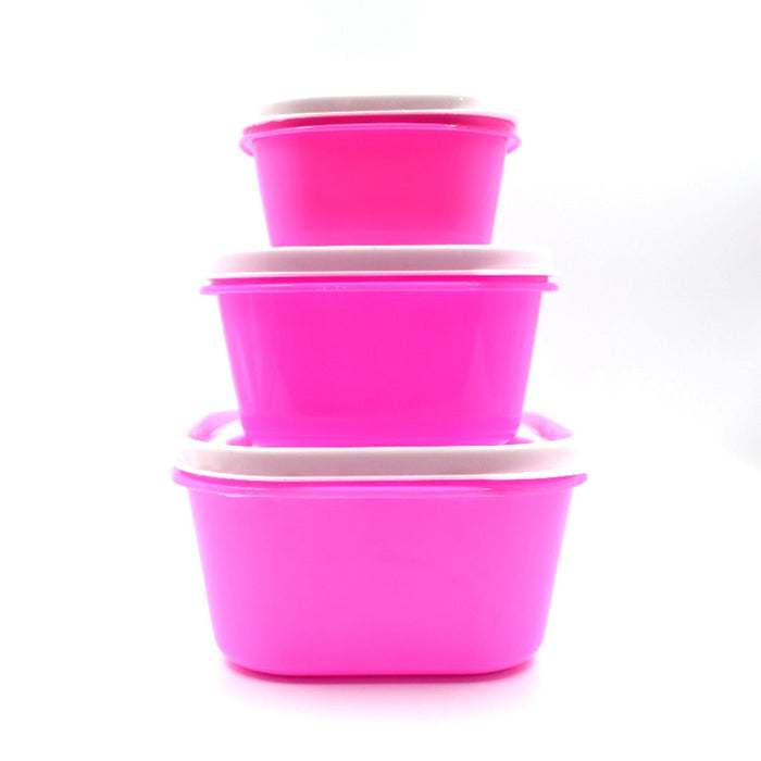 2029 3 Pc Multi-Purpose Container used in all kinds of household and official purposes for storing food and stuffs etc. 