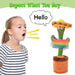 8047 Dancing Cactus Toy 