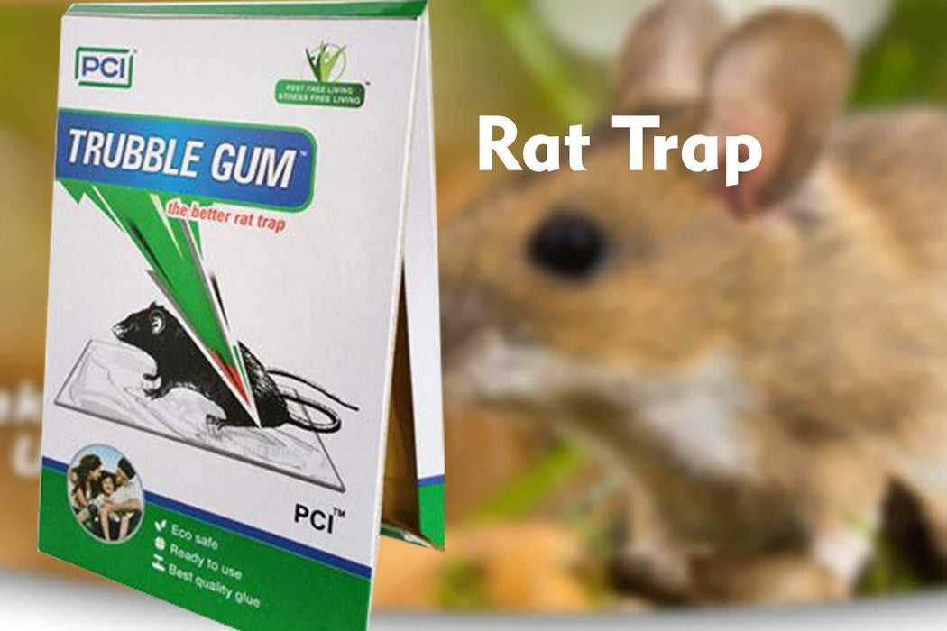 247 PCI Cardboard Troublegum Small Size Mouse Trap-1pc 